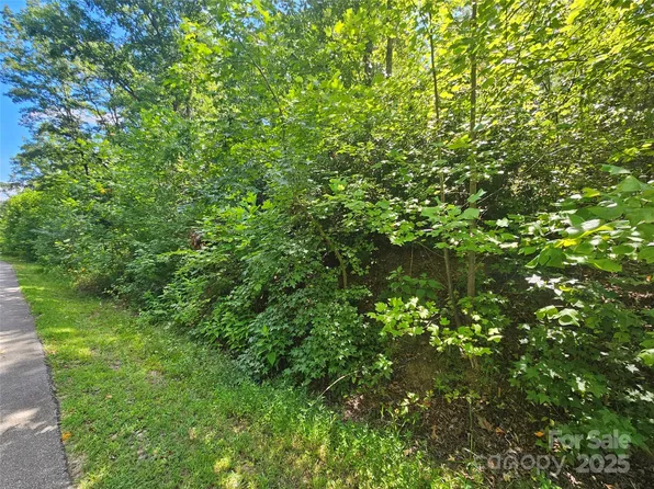 LOT 40 Walkaloosa Way, Mooresboro, NC 28114