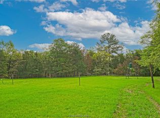 Bluebird Ln, Bedias, TX 77831