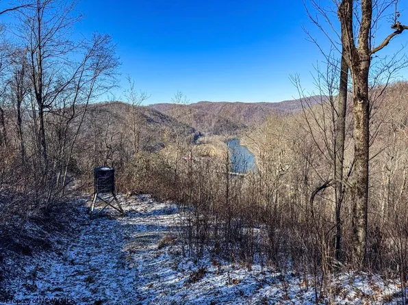 Lantz Ridge Rd, Rowlesburg, WV 26425