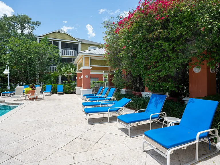 4207 S Dale Mabry Hwy #1204 — Photo 21