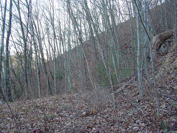 3rd image of Cove Mountain Road