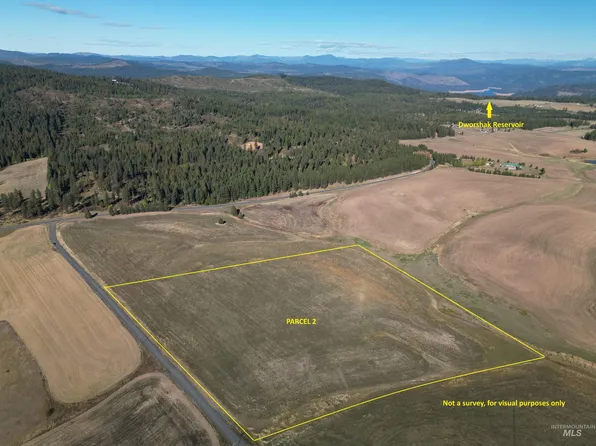 0 Brown Rd Parcel 2, Lenore, ID 83541