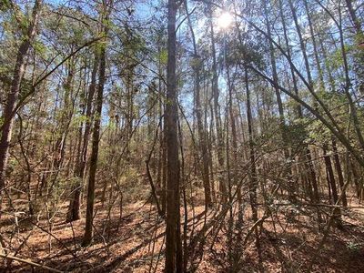 1064 Taylor Rd, Osyka, MS, 39657