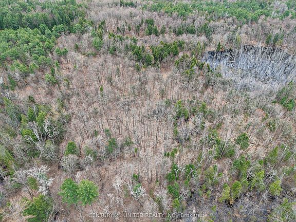 5th image of 9559 State Highway 28 N
