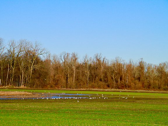 5th image of 6243 W Highway 22