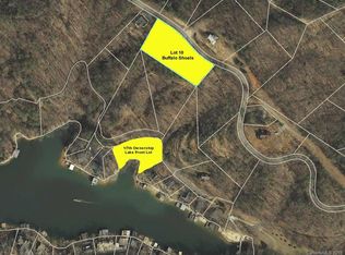 10 Buffalo Shoals Rd, Lake Lure, NC 28746