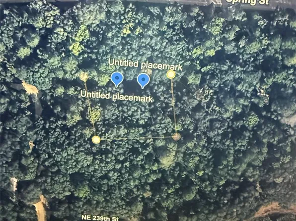 NE 239th Pl Lot 42, Fort Mc Coy, FL 32134