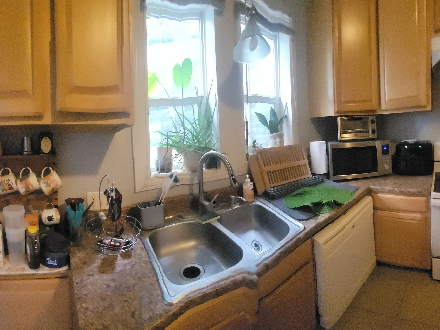 3 bed, 1.5 bath, 1776 sqft, $550 — Photo 2