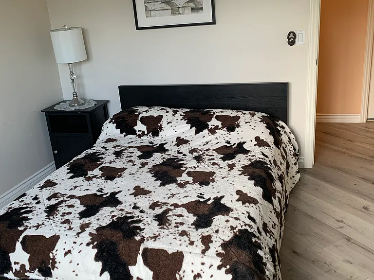 Orchid Ct — Photo 6