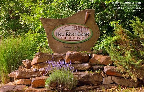 1st image of 419 River Gorge Dr