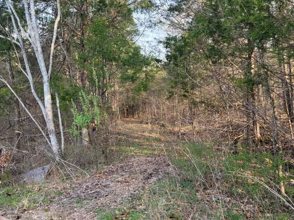 0 Greenfield Estates Dr, Culleoka, TN 38451