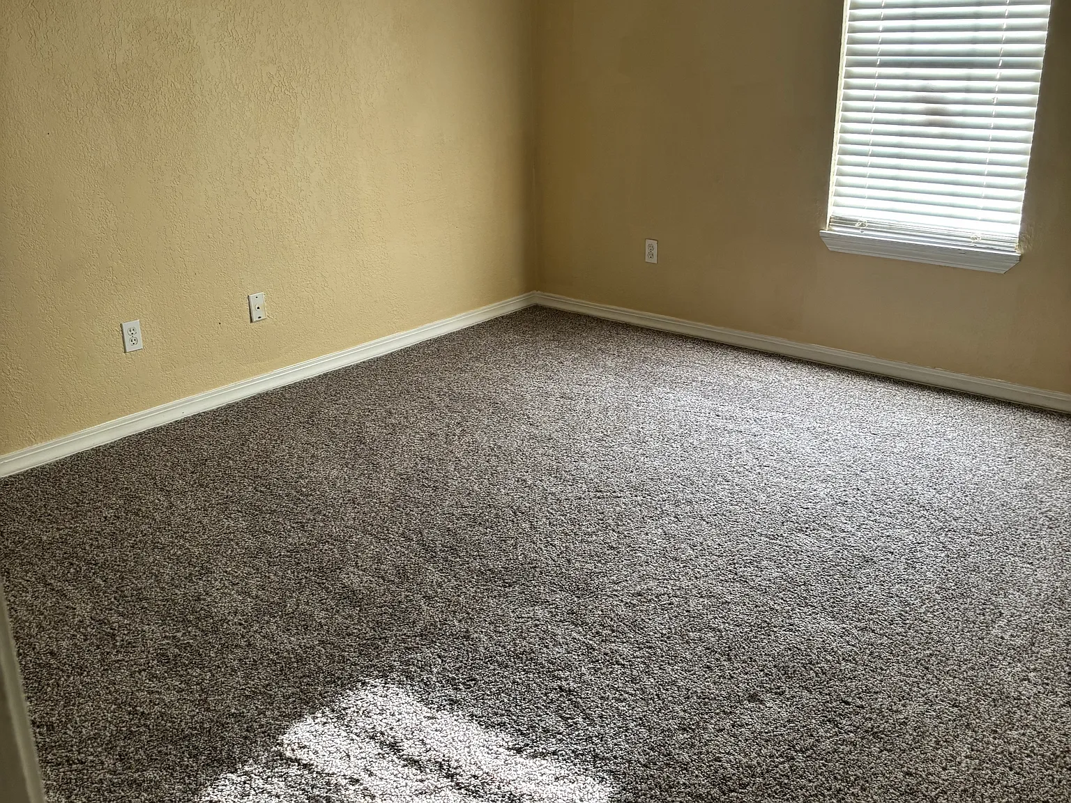 6 bed, 2641 sqft, $2,500 — Photo 4