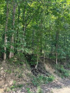 0 Collins Fork Rd, Manchester, KY, 40962