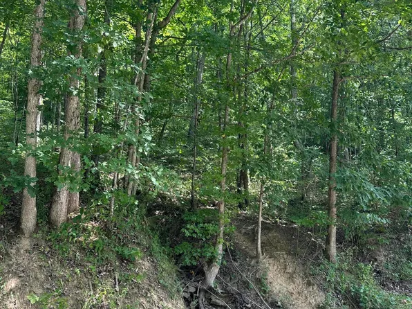 0 Collins Fork Rd, Manchester, KY 40962