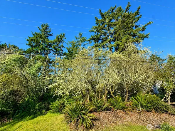 375 Dolphin Avenue NE, Ocean Shores, WA 98569