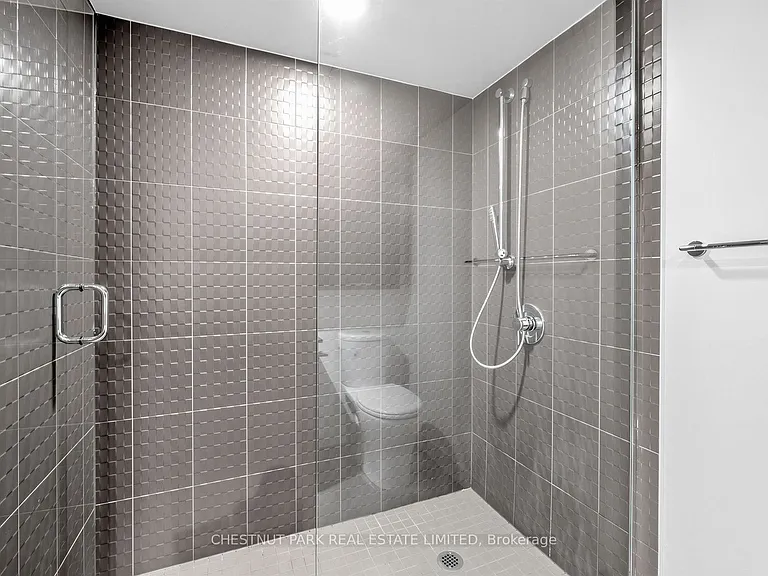78 Tecumseth St #703 — Photo 18