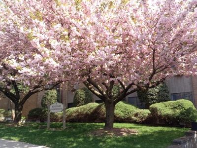 88 Boulevard #304, Passaic, NJ, 07055