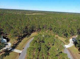 70 Muscadine Ct, Arapahoe, NC 28510