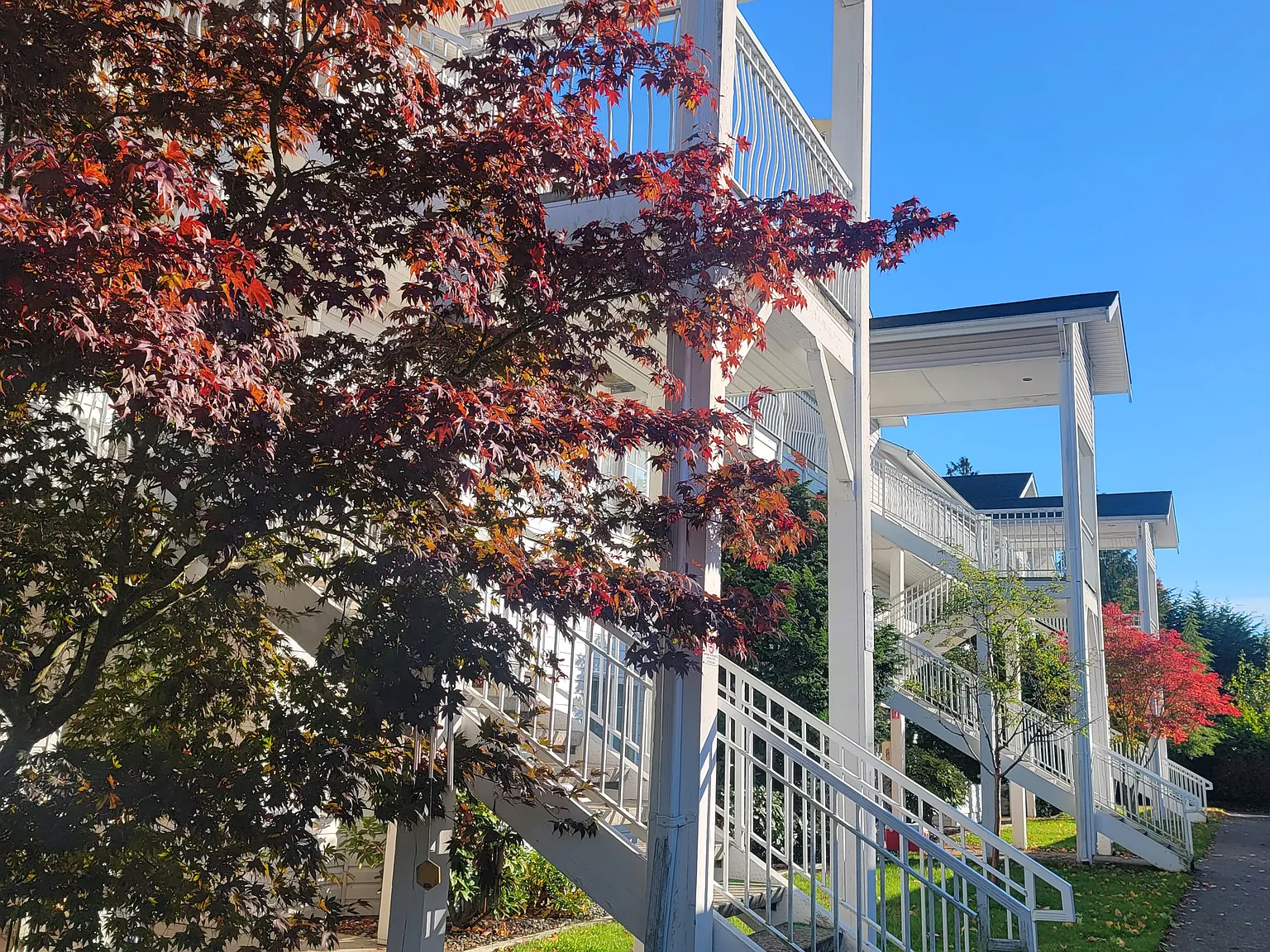 Canterbury Court — Photo 2