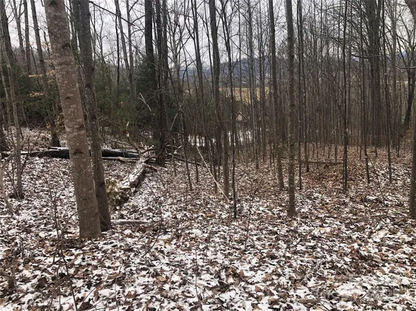 44 Balsamwood Rd #11, Leicester, NC 28748