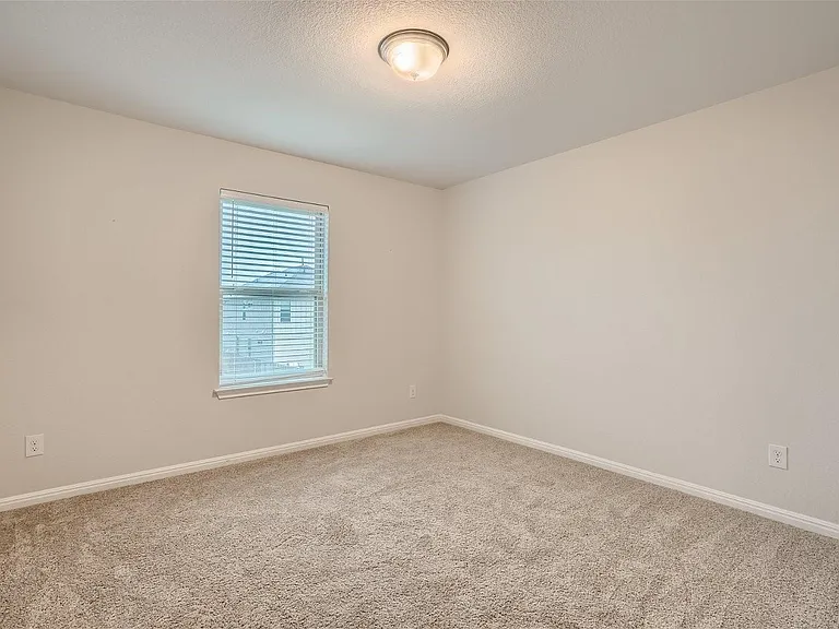232 Brady Creek Way — Photo 8