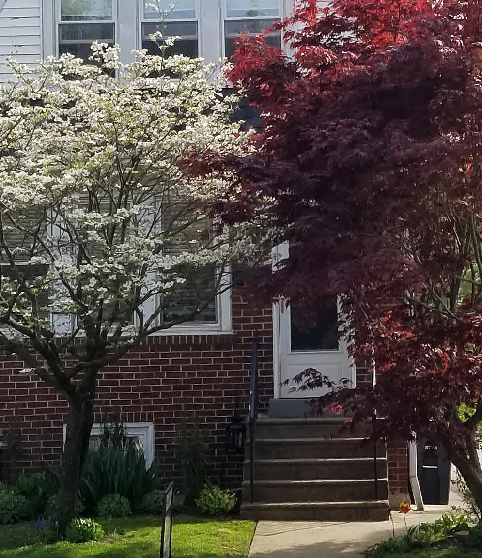 3 bed, 1712 sqft, $3,600 — Photo 2