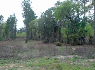 0 NE 155 Ter, Williston, FL 32696