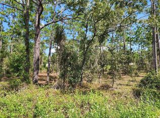 SW Ridgewood Rd LOT 46, Dunnellon, FL 34431