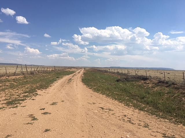 2nd image of Curandera Rd