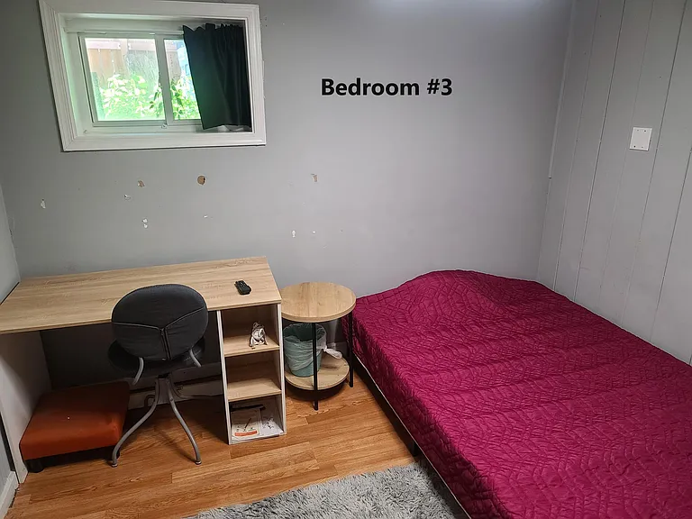 3514 New Hampshire Ave NW #BASEMENT — Photo 13