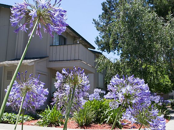 4th image of 831 Gale Dr #11020982
