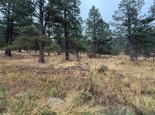 83 Alta Rd, Angel Fire, NM 87710