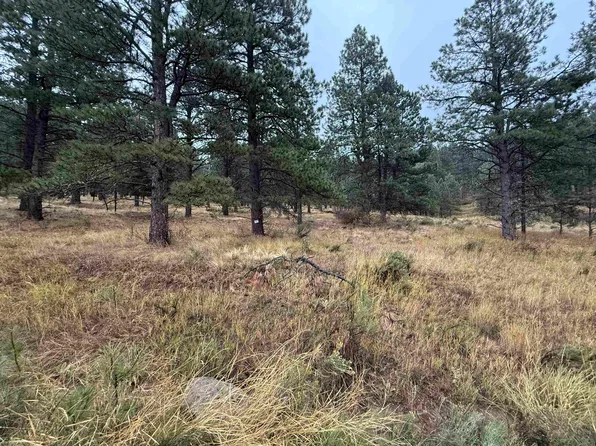 83 Alta Rd, Angel Fire, NM 87710