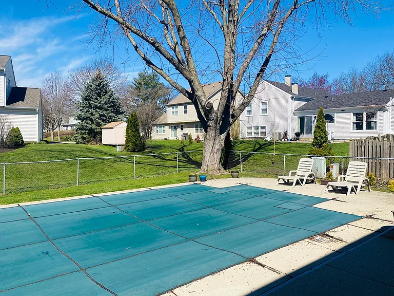 view from backyard