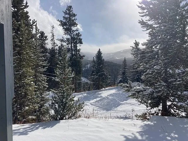 Building Photo - 1982 Boreas Pass Rd