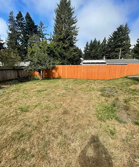 445 1/2 Tanglewood Rd — Photo 10