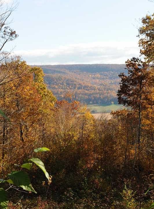 2nd image of Sawchuck Rd