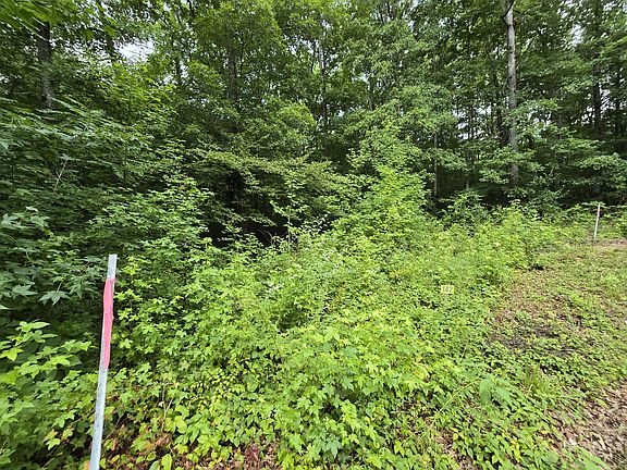 3rd image of LOT 142 Lower Brow Rd