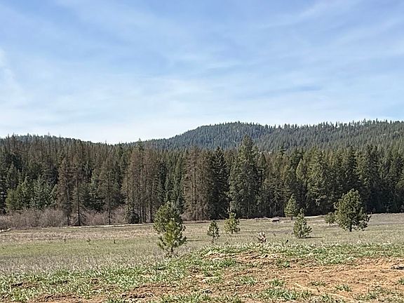 4th image of 4435 Whittier Rd Lot 1