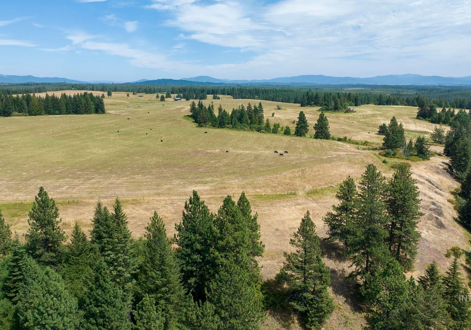 1605 Jasmine Ln PARCEL 14, Weippe, ID 83553 MLS 98854992 Zillow