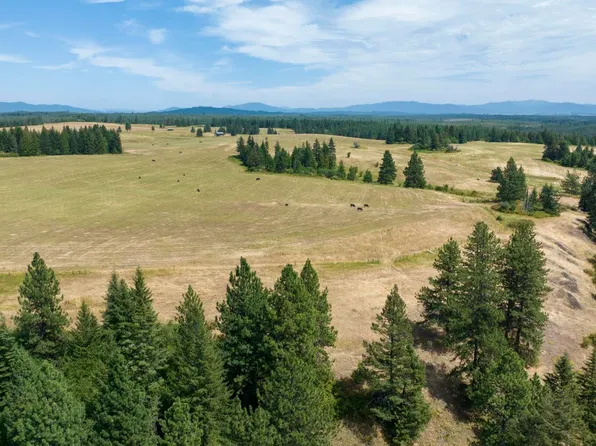 1605 Jasmine Lane Parcels 14 #&-15, Weippe, ID 83553