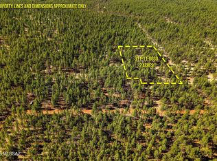 Birdsong Way #D, Lakeside, AZ 85929