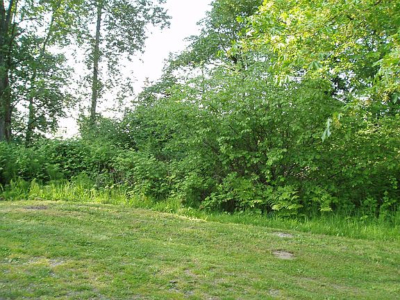 Spacious Private Yard.  Seasonal Peek-a-boo view of Mountains, City & Valley.
