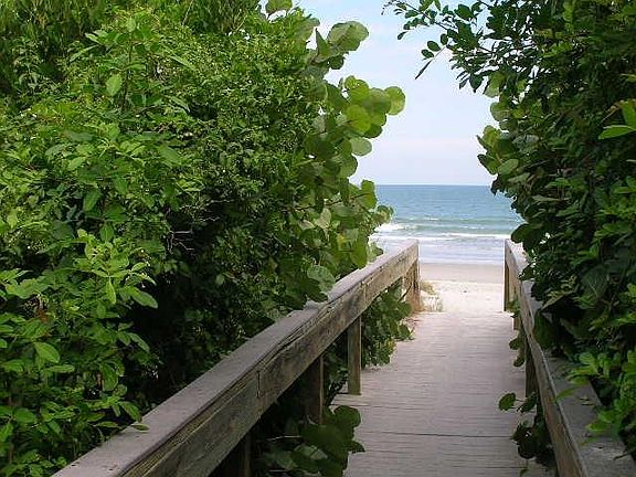 TO THE BEACH