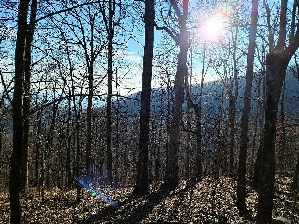 1207 Deer Run Rdg photo 1