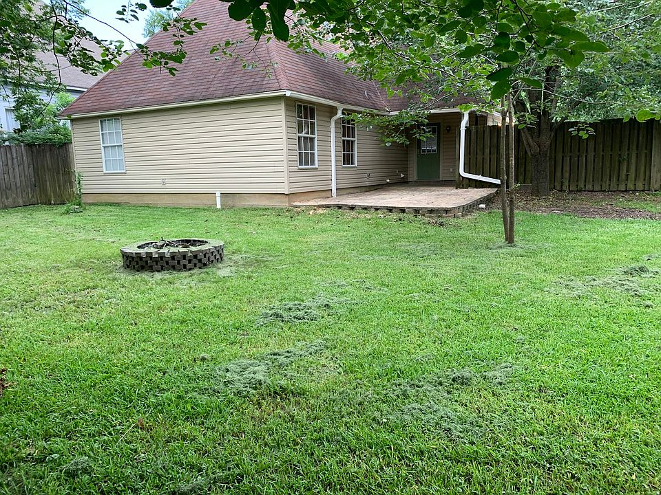 View from back fence