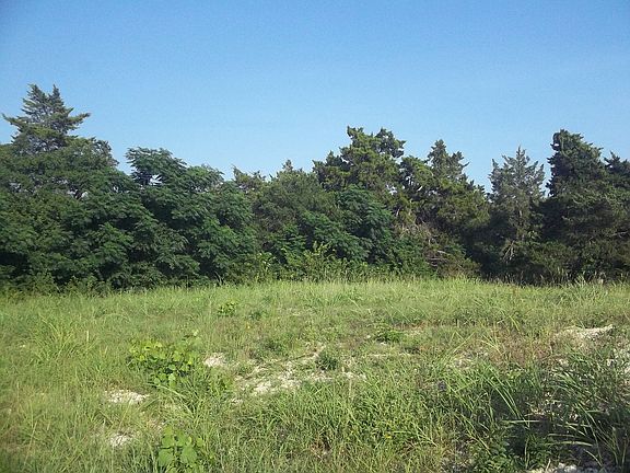 Trees line north side of lot