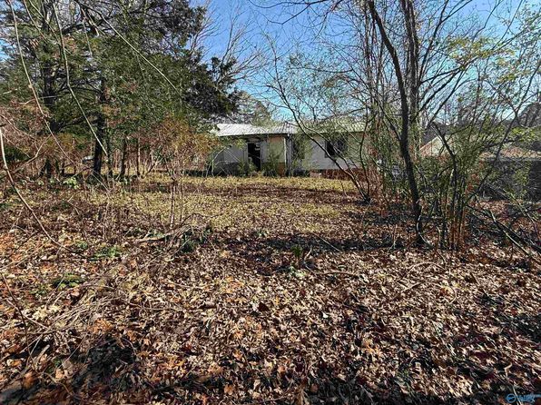 413 Alabama Ave, Scottsboro, AL 35768