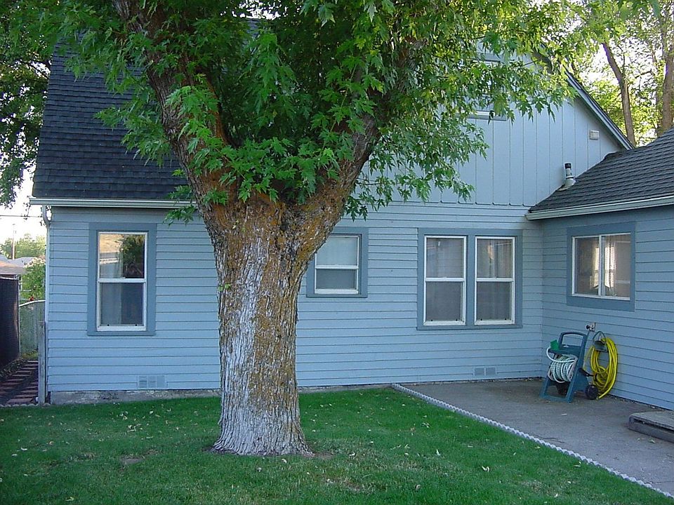 Backyard - Tree Removed
