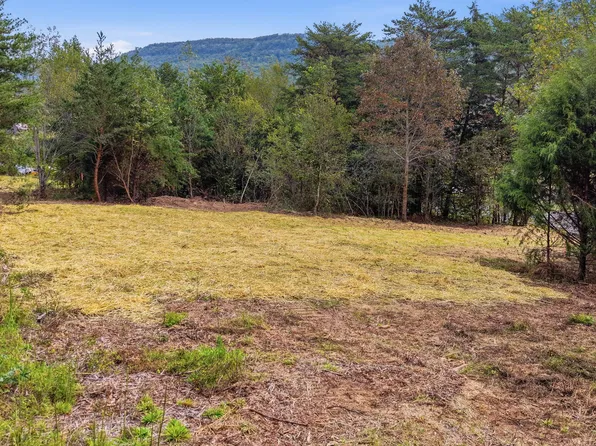 TRACT 1B Cloverdale Rd, Rising Fawn, GA 30738